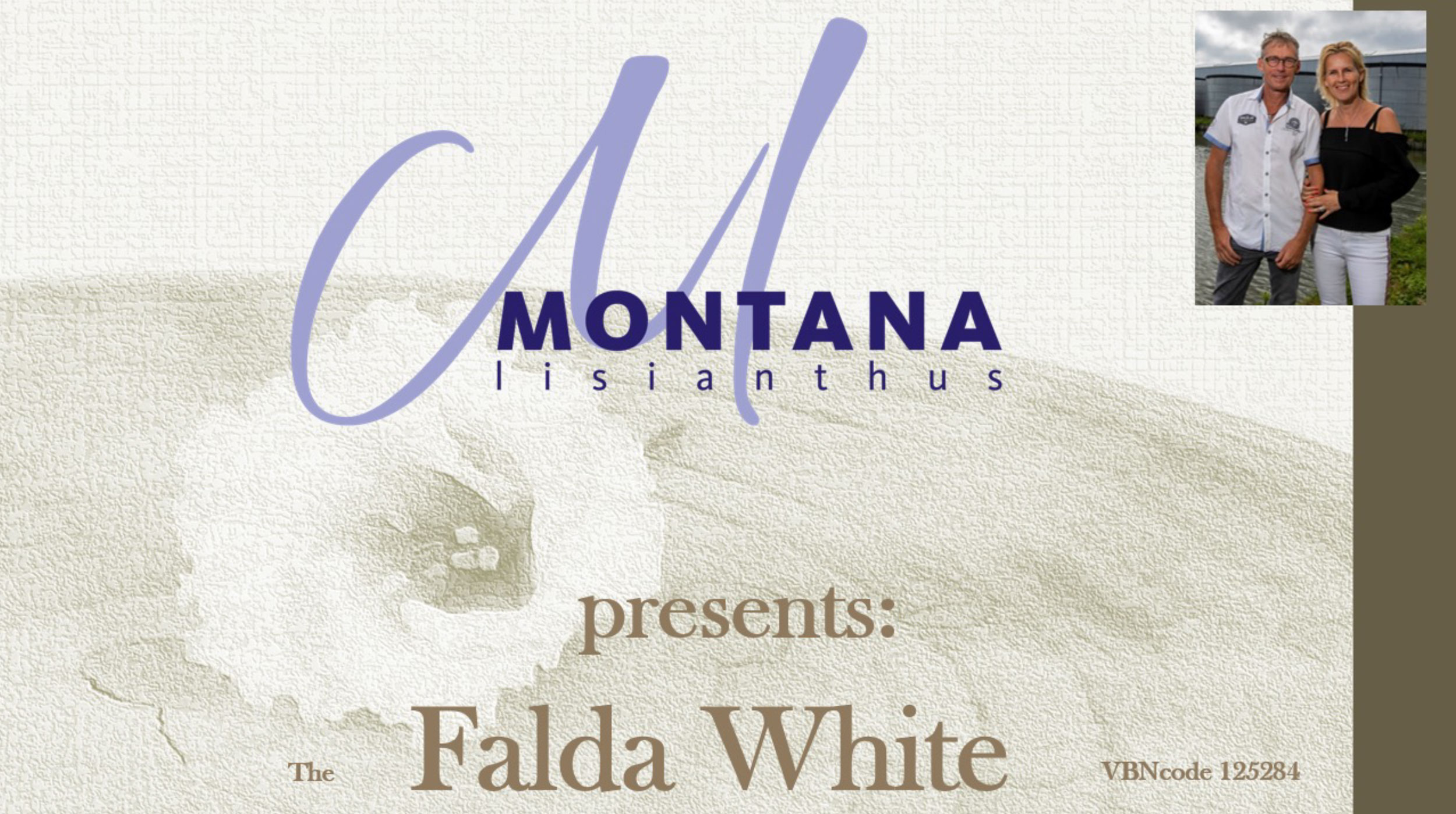 Montana presents Falda White 1