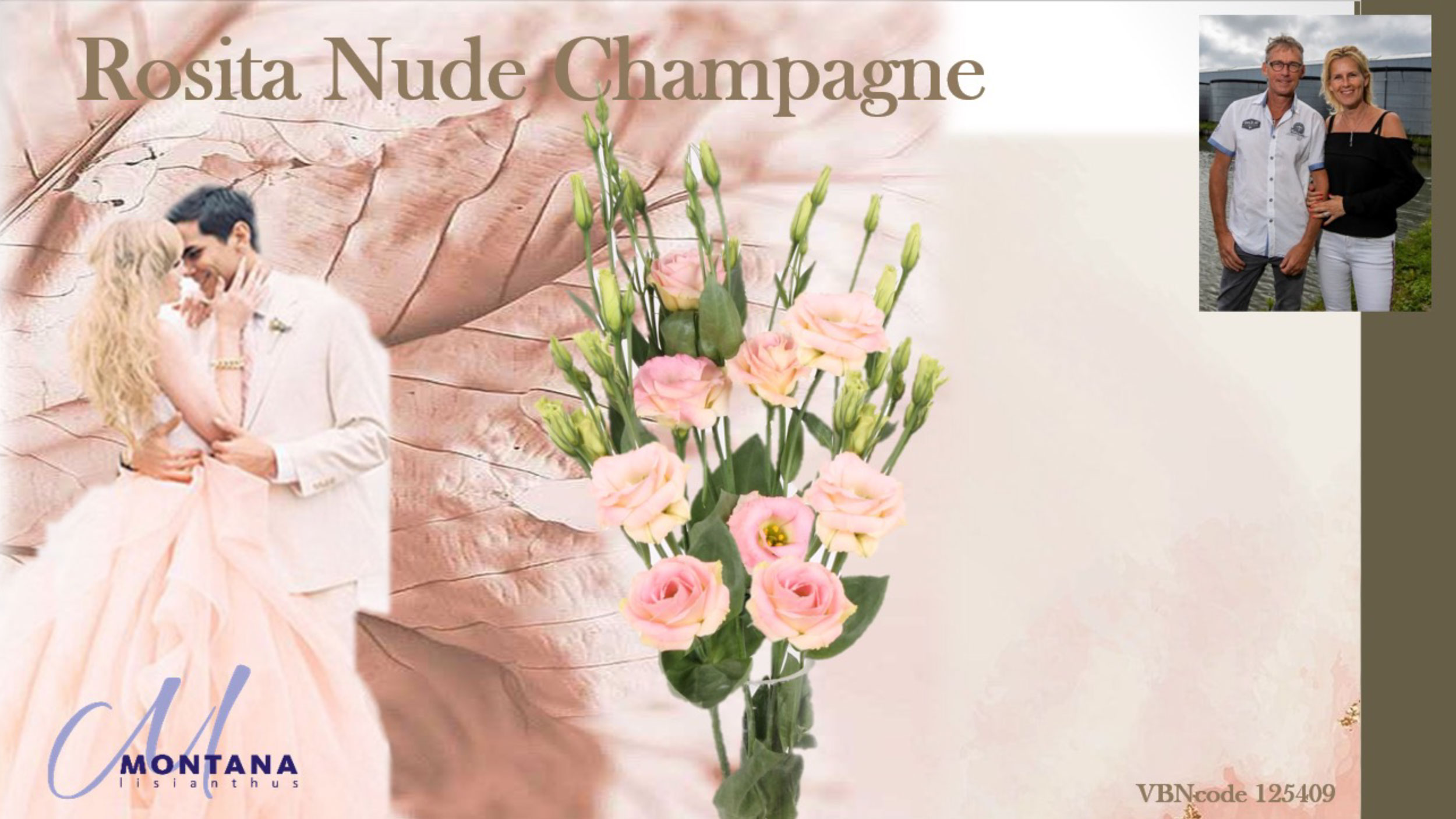 Montanas Rosita Nude Champagne engels 2
