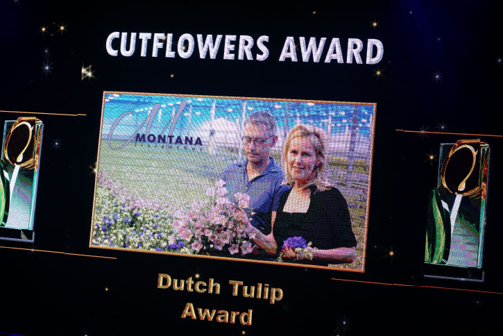 cutflowers award montana lisianthus