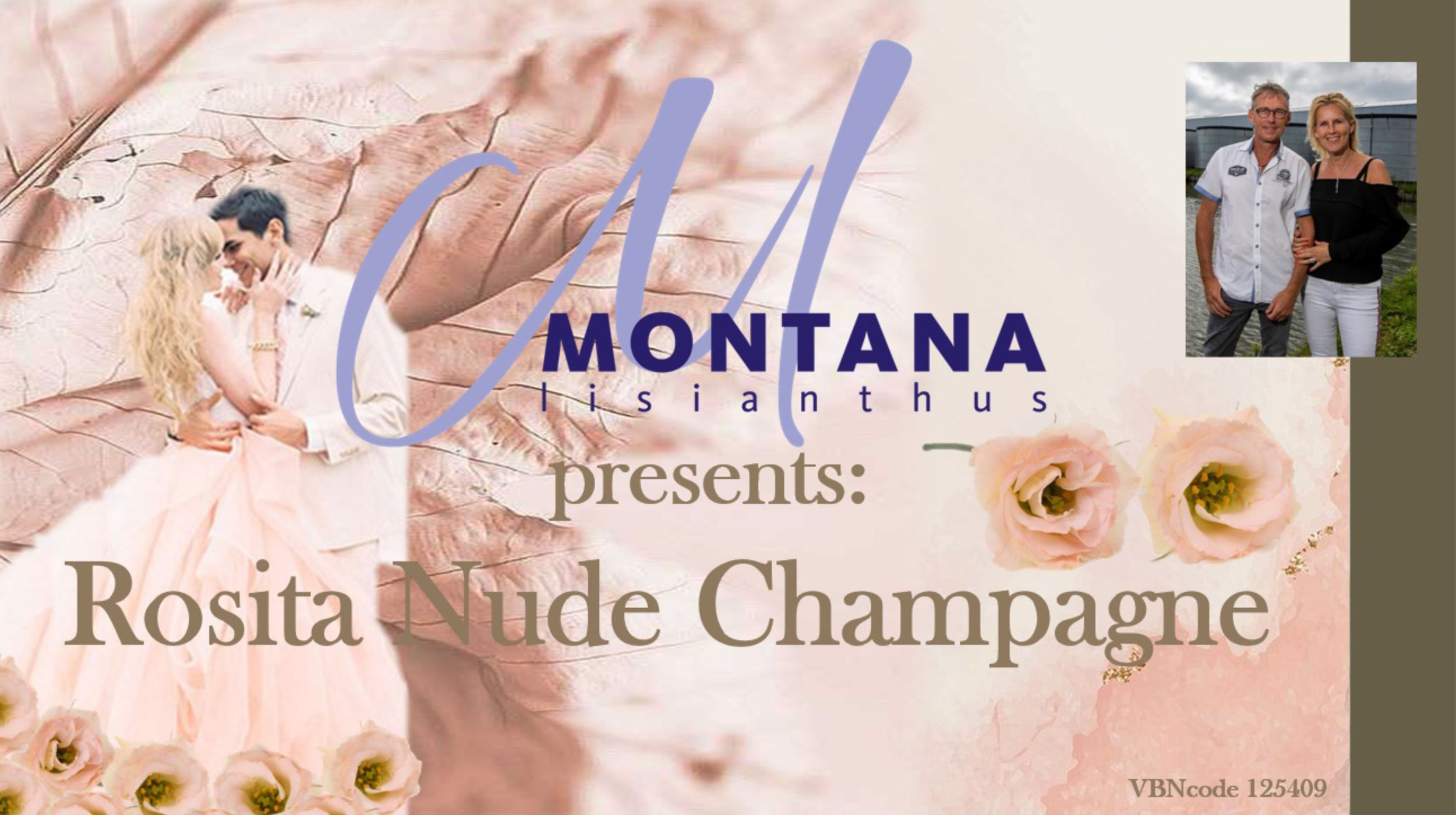 Montanas Rosita Nude champagne engels 1
