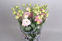 lisianthus alissa pink